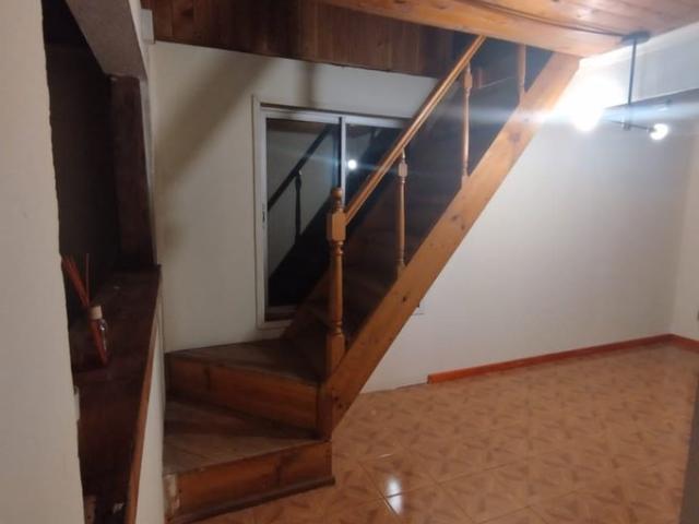 Linares, vara gruesa, linares