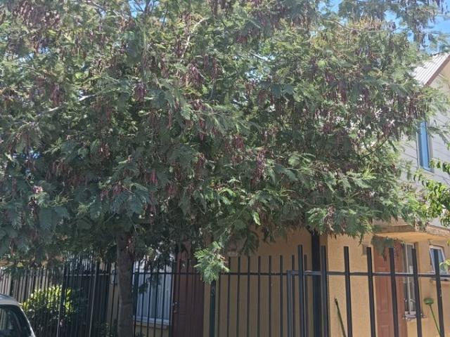 Linares, Villa doña agustina