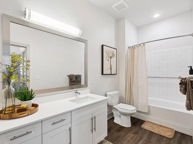 Apartment for rent in Mecklenburg, North Carolina