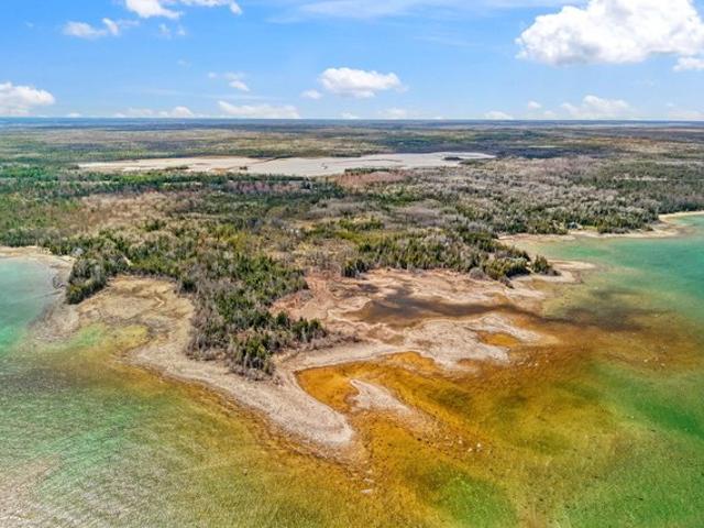 Land for sale in Alpena, Michigan