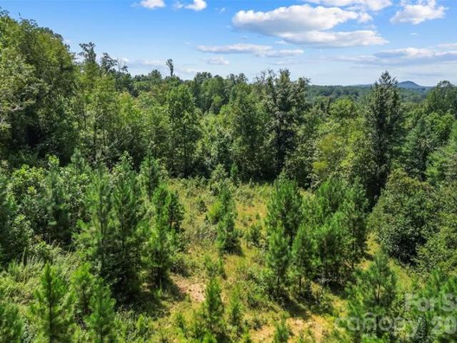 Land for sale in Wilkesboro, North Carolina