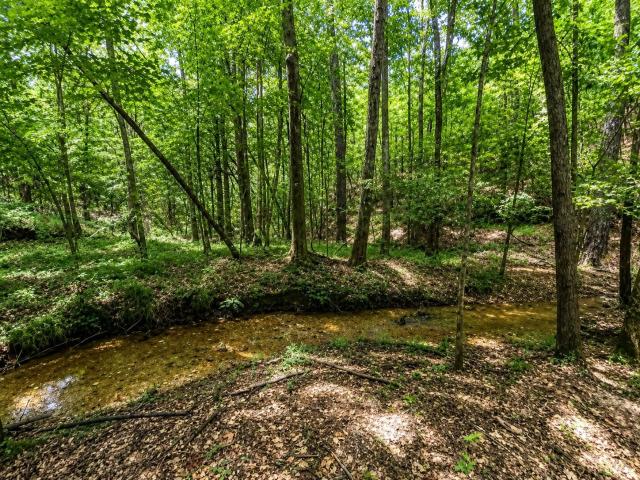 Land for sale in Hamilton, Alabama