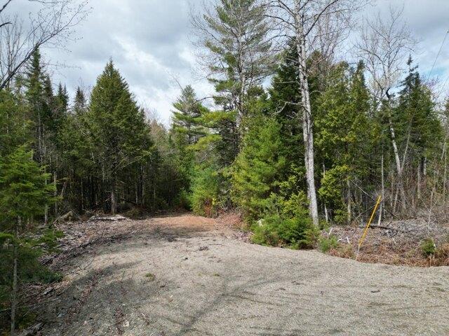 Land for sale in Lincoln, Maine