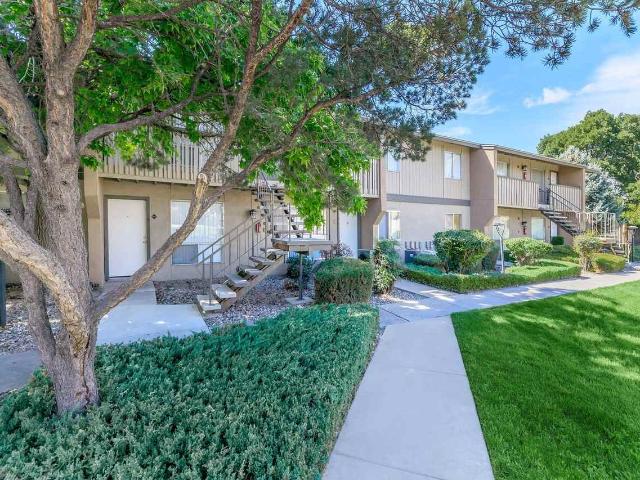 Apartment for rent in New Mexico