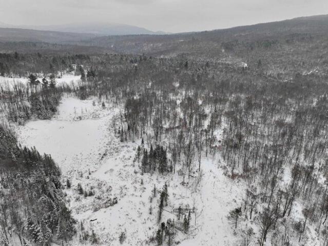Land for sale in Ripton, Vermont