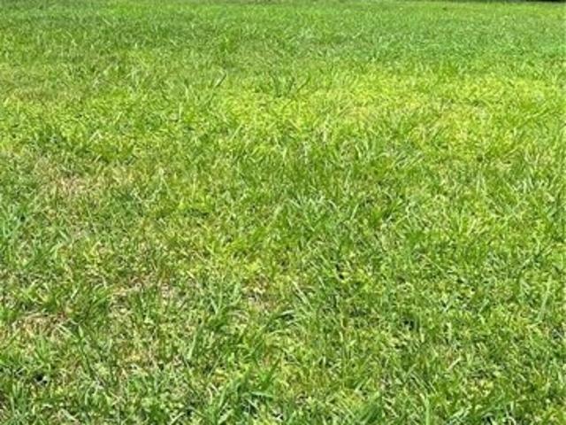 Land for sale in Greensboro