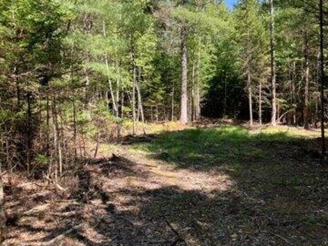 Land for sale in Lincolnville, Waldo County