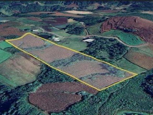 Sítio e chácara venda em Região Geográfica Imediata de Novo Hamburgo - São Leopoldo, Santa Maria do Herval