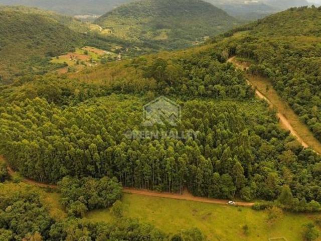 Sítio e chácara venda em Região Geográfica Imediata de Caxias do Sul, Gramado