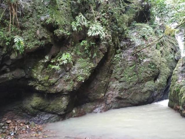 Sítio e chácara venda em Riozinho