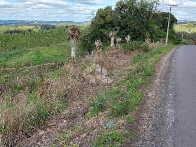 Sítio e chácara venda em Vale dos Vinhedos, Bento Gonçalves