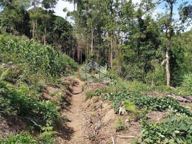 Sítio e chácara venda em Região Geográfica Imediata de Bento Gonçalves, Carlos Barbosa