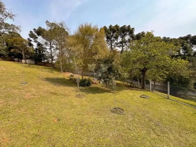 Fazenda venda em Região Geográfica Imediata de Curitiba, Região Metropolitana de Curitiba