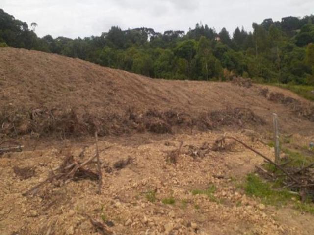 Sítio e chácara venda em Região Geográfica Imediata de Curitiba, Região Metropolitana de Curitiba