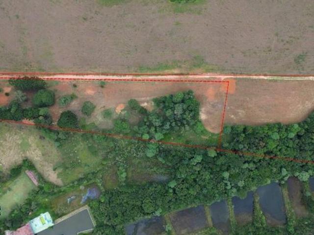 Sítio e chácara venda em Região Geográfica Imediata de Curitiba, Região Metropolitana de Curitiba