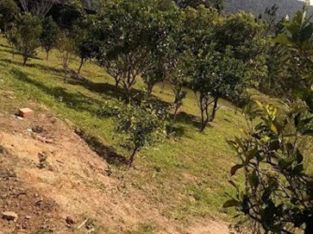 Sítio e chácara venda em Sé, São Paulo