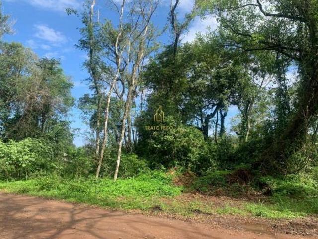 Sítio e chácara venda em Região Geográfica Imediata de Taquara - Parobé - Igrejinha, Região Metropolitana de Porto Alegre