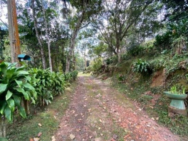 Sítio e chácara venda em Região Imediata de São Paulo, Região Metropolitana de São Paulo