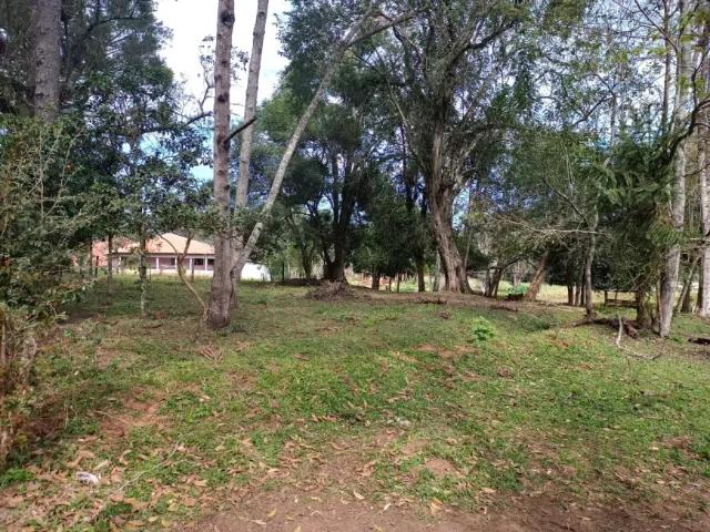 Fazenda venda em Região Geográfica Imediata de Ponta Grossa, Ponta Grossa