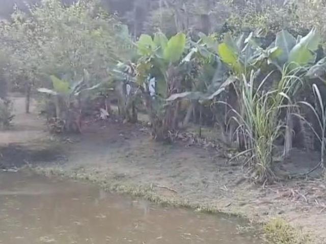 Sítio e chácara venda em Região Imediata de São Paulo, Região Metropolitana de São Paulo