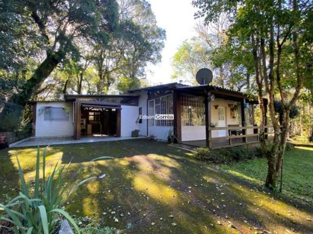 Sítio e chácara venda em Região Geográfica Imediata de Caxias do Sul, São Francisco de Paula