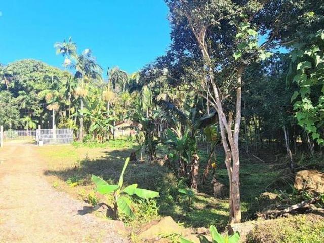 Sítio e chácara venda em Região Geográfica Imediata de Paranaguá, Morretes