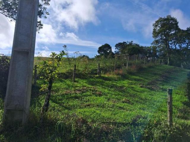 Sítio e chácara venda em Região Geográfica Imediata de Curitiba, Região Metropolitana de Curitiba