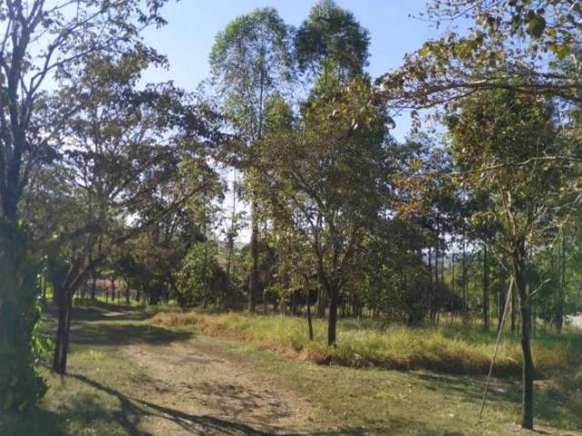Sítio e chácara venda em Região Imediata de Franca, Patrocínio Paulista