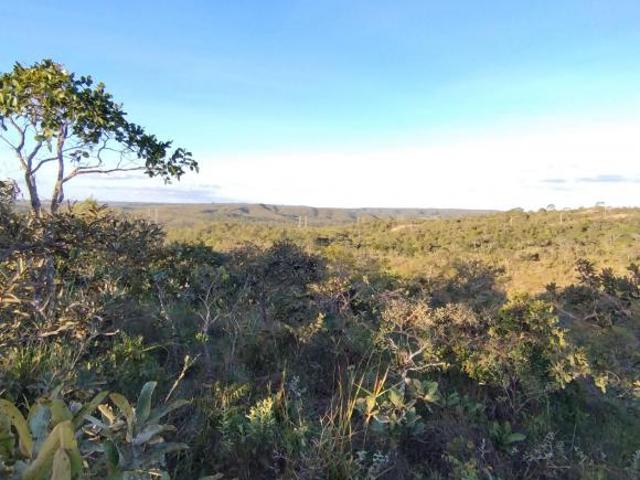 Sítio e chácara venda em Região Geográfica Imediata do Distrito Federal, Região Integrada de Desenvolvimento do Distrito Federal e Entorno