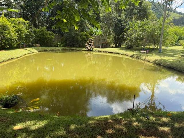 Sítio e chácara venda em Região Imediata de Bragança Paulista, Joanópolis