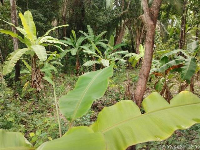 Terreno venda em Região Geográfica Imediata de Uruaçu - Niquelândia, Colinas do Sul