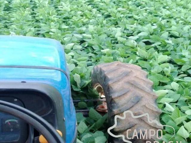 Sítio e chácara venda em Região Geográfica Imediata de Caxambu - Baependi, Caxambu