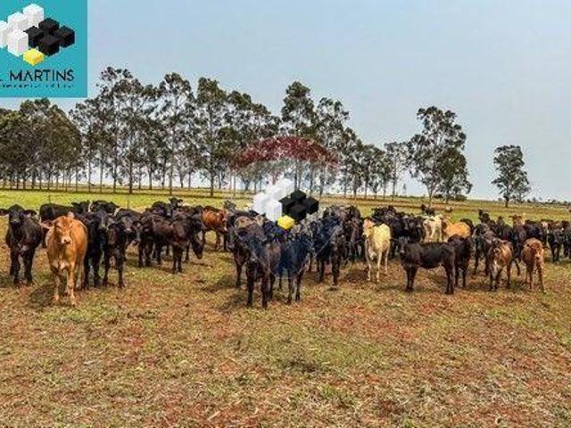 Sítio e chácara venda em Região Geográfica Imediata de Paranavaí, Nova Londrina