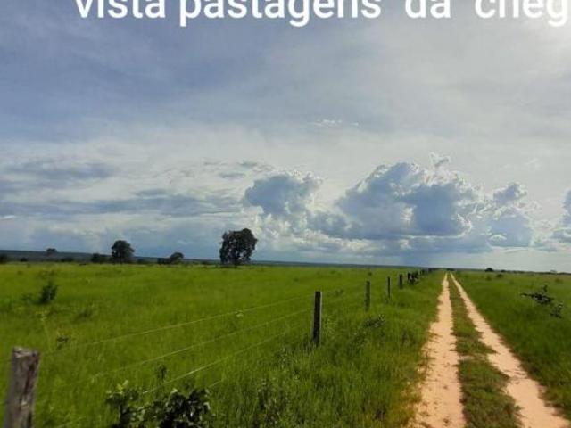 Sítio e chácara venda em Região Geográfica Imediata de Barra do Garças, Novo São Joaquim