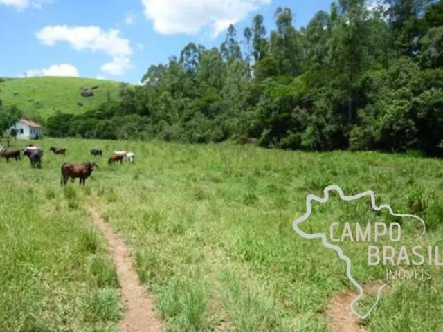 Sítio e chácara venda em Região Imediata de Guaratinguetá, Região Metropolitana do Vale do Paraíba e Litoral Norte