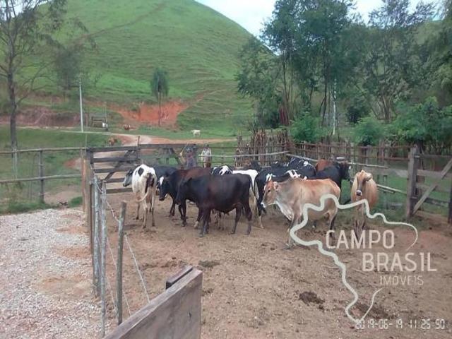 Sítio e chácara venda em Região Geográfica Imediata de Angra dos Reis, Paraty