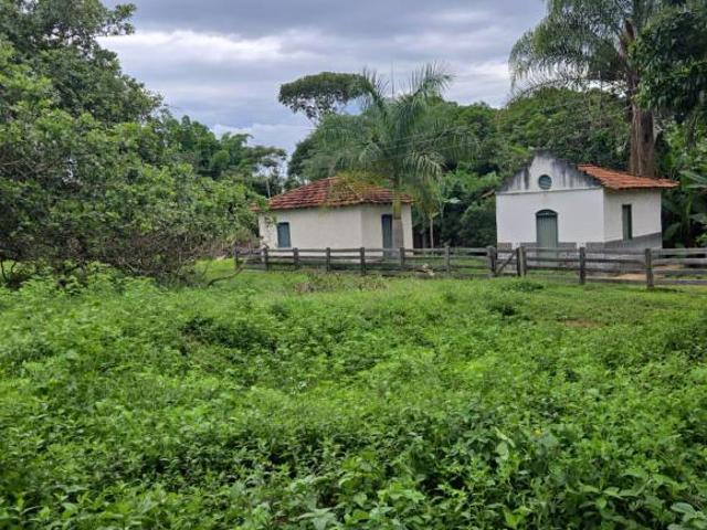 Sítio e chácara venda em Região Geográfica Imediata de Luziânia, Região Integrada de Desenvolvimento do Distrito Federal e Entorno