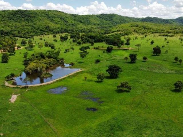 Sítio e chácara venda em Região Geográfica Imediata de Águas Lindas de Goiás, Região Integrada de Desenvolvimento do Distrito Federal e Entorno