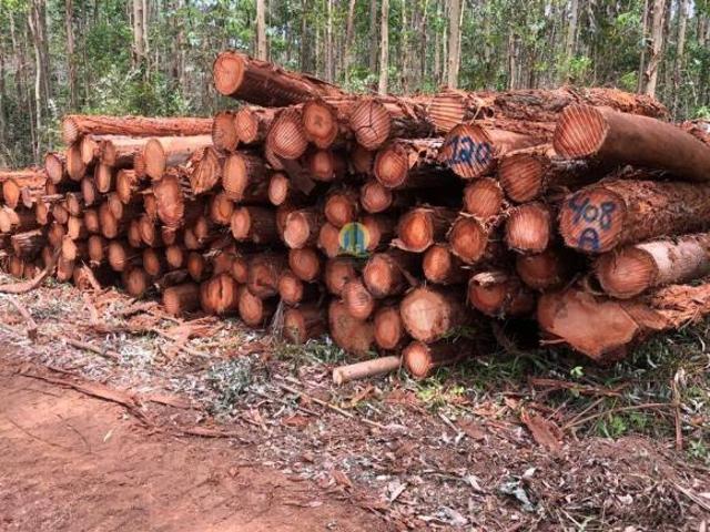 Sitio venda em Rio Grande, Rio Grande