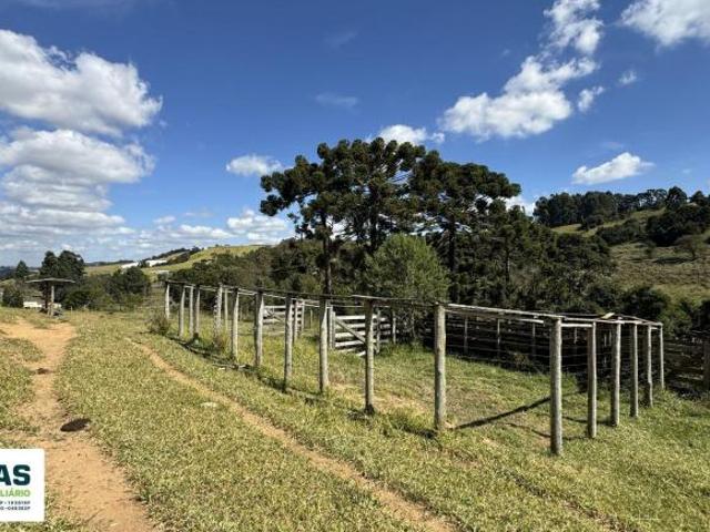 Terreno venda em Região Geográfica Imediata de Pouso Alegre, Bueno Brandão