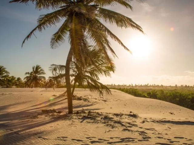 Ponto Comercial venda em Região Geográfica Imediata de Alagoinhas, Jandaíra