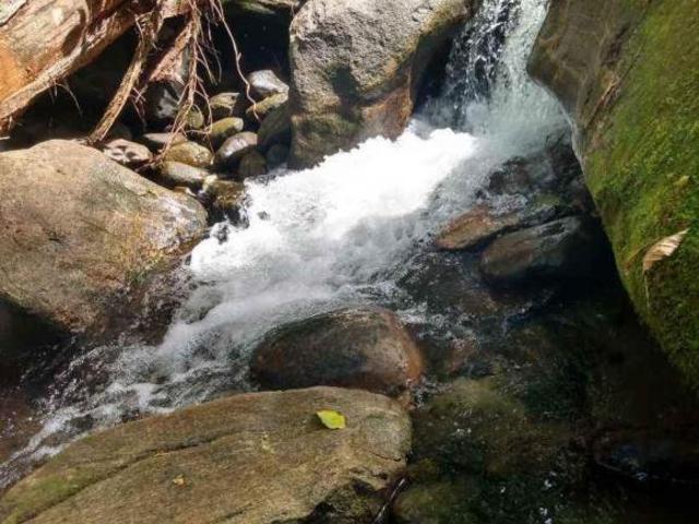 Sítio e chácara venda em Região Imediata de Caraguatatuba-Ubatuba-São Sebastião, Região Metropolitana do Vale do Paraíba e Litoral Norte