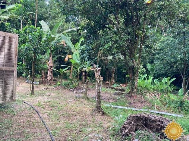 Sítio e chácara venda em Região Imediata de Caraguatatuba-Ubatuba-São Sebastião, Região Metropolitana do Vale do Paraíba e Litoral Norte