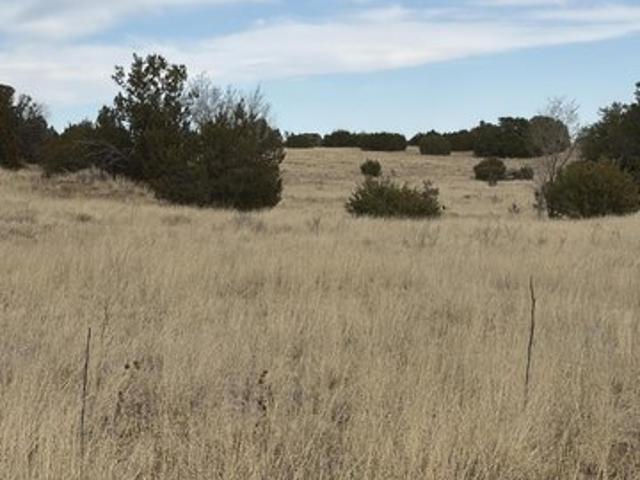 Land for sale in Tajique, New Mexico