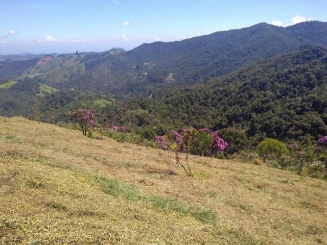 Sítio e chácara venda em Região Geográfica Imediata de Angra dos Reis, Paraty