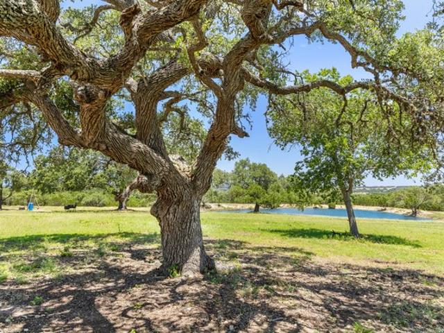 Farm for sale in Blanco, Texas