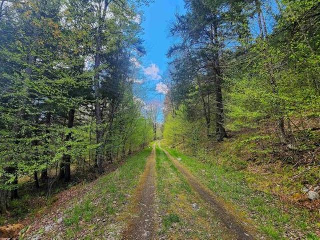 Land for sale in Chester, Windsor County