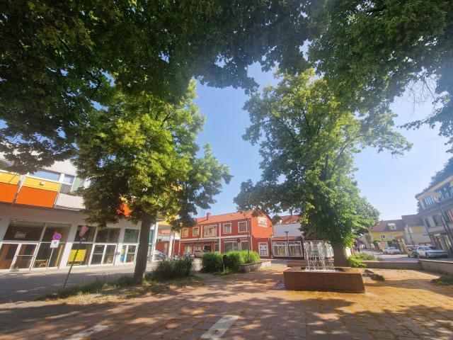 Apartment mieten in Diemlach, Kapfenberg
