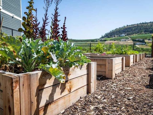 Apartment for rent in Winfield, British Columbia