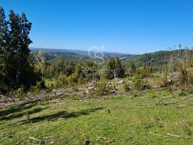 Casa en venta en Fresia, Los Lagos